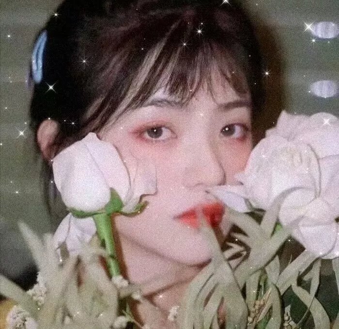 新手女导演