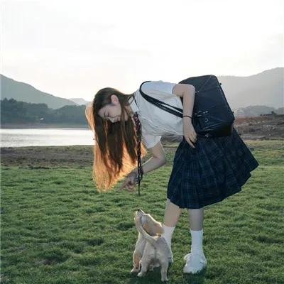 科搜研之女第24季